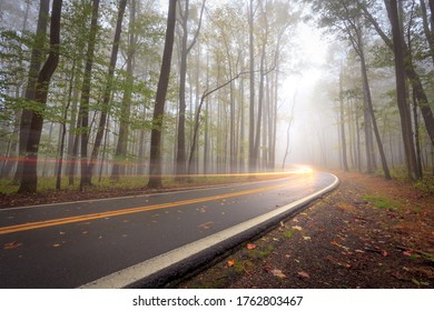 Road In The Woods Traffic Time Lapse Photography