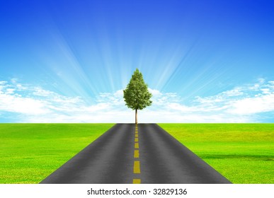 Road with yellow dividing strip on background of green grass and blue sky. The tree is on the road.