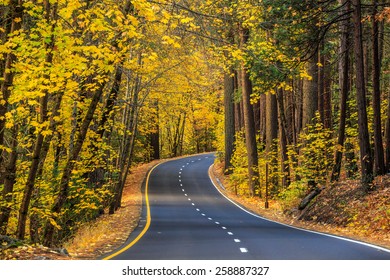 Road In Yosemite National Park Fall Season, California