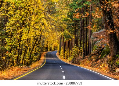 Road In Yosemite National Park Fall Season, California