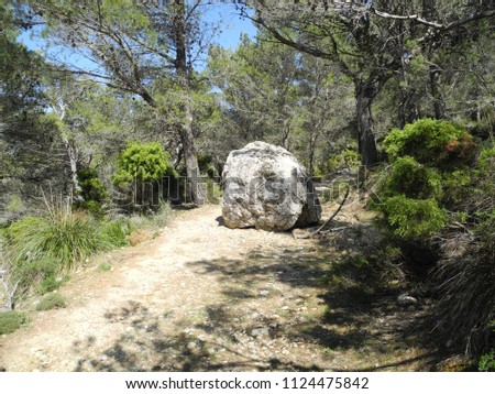 Roadblock - Boulder blocks a forest path. On a forest path is a large rock that blocks the way. A hiking trail in the mountains on Mallorca in Spain.