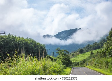 Roads of the mountains and fog with beautiful rainy season. - Powered by Shutterstock