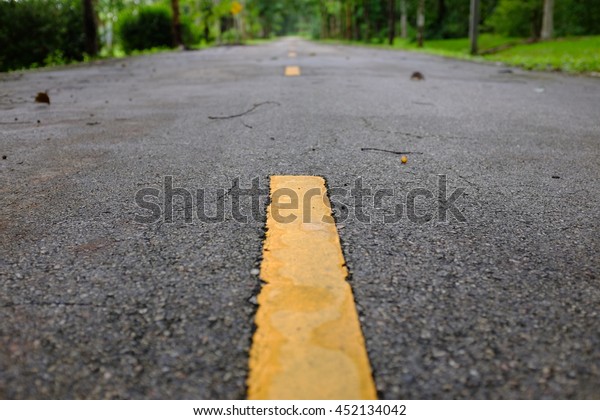 Roads in the\
parks,focus yellow road\
lines