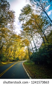 Roads Surrounded By Autumn Leaves Season In Damascus Virginia