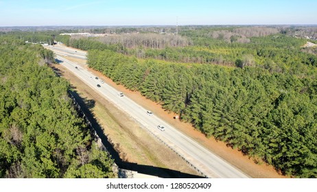 Roads, Trees, and Sky