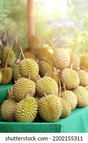 Roadside Durian Fruit Seller During The Day