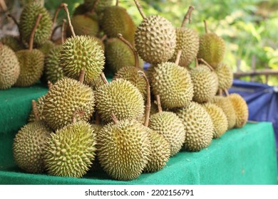 Roadside Durian Fruit Seller During The Day