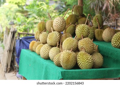 Roadside Durian Fruit Seller During The Day