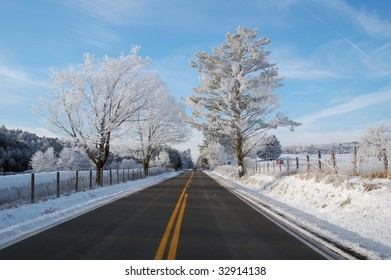 Roadside Ice Trees