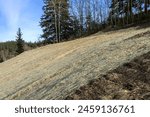 Roadside slope erosion control with single net  blanket installed on ground to protect from weeds and water erosion