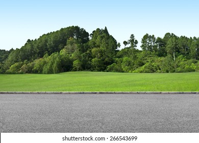 Roadside View  And Green Grass Landscape