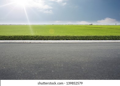 Roadside view and green grass on blue sky.