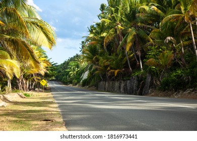 Roadside View Port Antonio Jamaica