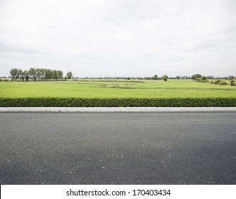 Roadside View And Rice Filed.