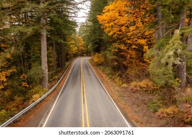 Roadway Leading To A Colorful Fall Forest. Fir And Maple Trees Line The Road In The Autumnal Season Along The Mt. Baker Highway In The Pacific Northwest.