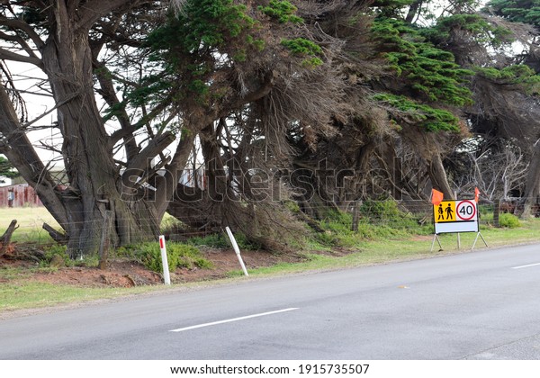roadworks sign\
and wind bent trees on beach road\
