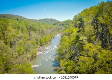 Roanoke River In The Spring