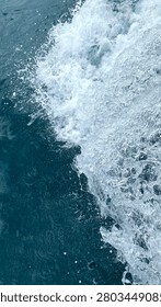 the roar of blue waves