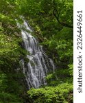 Roaring Brook Falls in the forest