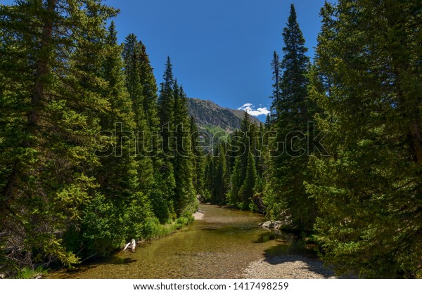 Roaring Fork River headwaters between Aspen and\
Independence Pass in White River National Forest (Pitkin County,\
Colorado, USA) 