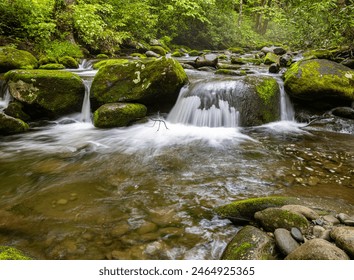 Roaring Fork Stream Cascading Over Moss Covered Boulders, Roaring Fork Nature Trail, Great Smoky Mountains National Park, Tennessee, USA