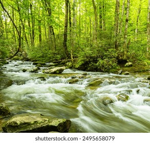 Roaring Fork Stream Cascading Over Moss Covered Boulders, Roaring Fork Nature Trail, Great Smoky Mountains National Park, Tennessee, USA
