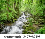 Roaring Fork  stream on the Roaring Fork Motor Nature Trail in  Great Smokey Mountains  National Park in Tennessee, USA