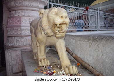 Roaring Lion Marble Statue Outside A Temple