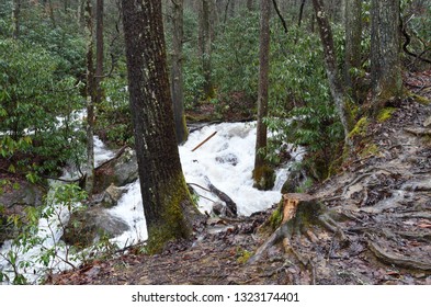 Roaring Mountain Stream