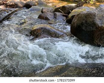 Roaring Rapids Tumble Down River