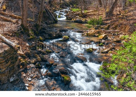 Roaring Run Creek in the Alleghany County on a early spring day. Roaring Run Recreation Area. Virginia. USA