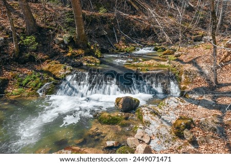 Roaring Run Creek on a early spring day. Roaring Run Recreation Area. Alleghany County. Virginia. USA