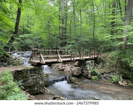 Roaring Run Falls - Botetourt County, VA