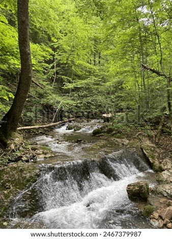 Roaring Run Falls - Botetourt County, VA