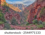 Roaring Springs Canyon at North Rim AZ