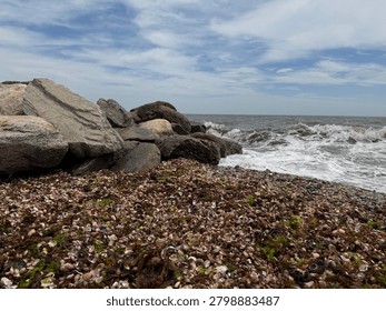 Roaring Waves at the Seashell Beach 