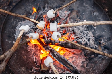 Roast marshmallows on a fireplace with orange flames outside in nature. - Powered by Shutterstock