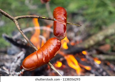 Roast sausage over the fire. Sliced sausages. Sausage impaled on a stick. Fast dinner camping in the countryside. Hot dogs over a small campfire. Grilling sausages over an open fire outdoors.