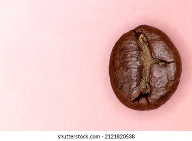 Roasted coffee bean on pink background