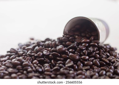 Roasted coffee beans.