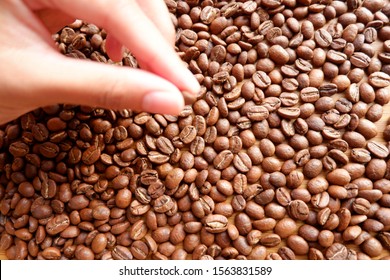 roasted coffee beans in selective focus.