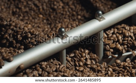 Roasted coffee beans undergoing processing in a modern facility highlight the industrial side of coffee production, transforming raw materials into a flavorful beverage through advanced machinery