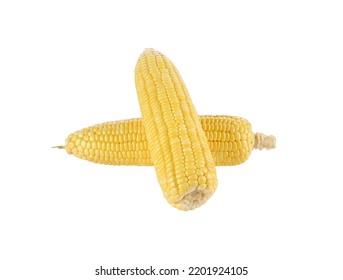 Roasted Corn Isolated On White Background