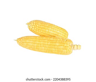 Roasted Corn Isolated On White Background