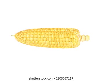 Roasted Corn Isolated On White Background