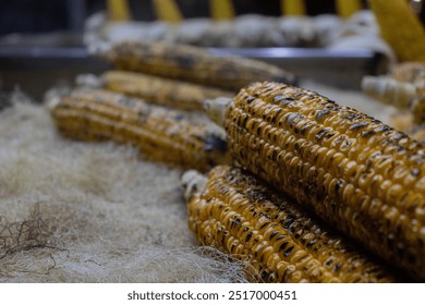 Roasted corn in Istanbul Eminonu Square. The price of roasted corn is also visible in the photo. - Powered by Shutterstock