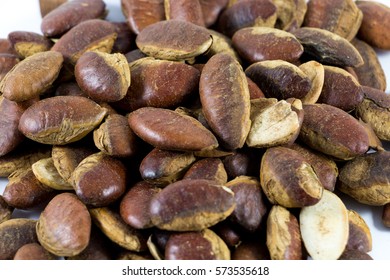 Roasted kayu seeds on white background