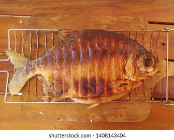 Roasted Pacu Fish On The Golden Grill