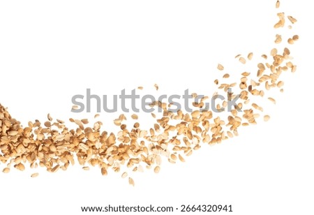 Roasted Peanut bean fly explosion group, Roasted Peanut bean float explode, abstract cloud fly. Roasted Peanut beans splash throwing in Air. White background Isolated high speed shutter, freeze motion