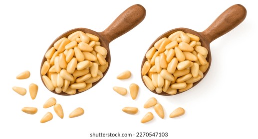 Roasted pine nuts in the wooden spoon, isolated on the white background, top view.